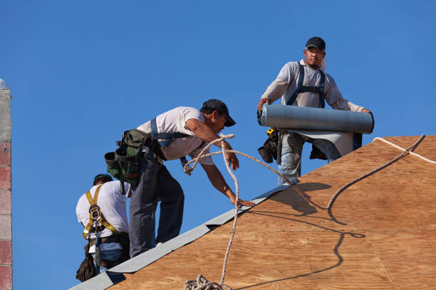 Best Roof Waterproofing Services  in Bellerose Terrace, NY