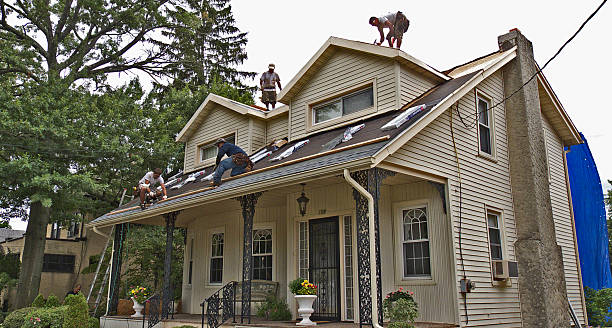 Best Roof Maintenance Services  in Bellerose Terrace, NY